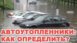 После потопов в Европе в Украину хлынет поток утопленных авто. Как определить утопленника?