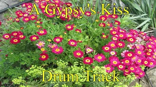 A Gypsy's Kiss - Drum Track