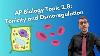 2.8 Tonicity and Osmoregulation (Part I) - AP Biology