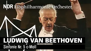 Beethoven: Symphony No. 5 with Günter Wand | NDR Elbphilharmonie Orchestra