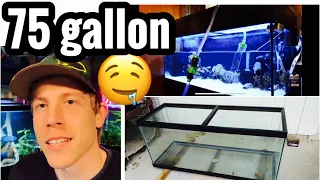 Fish for 75 gallon Aquarium? Tank Stocking Ideas?