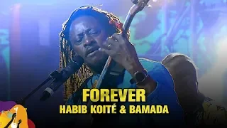 Forever | Habib Koité & Bamada | Dhaka International FolkFest 2019