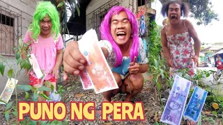 Play Money Tree | Madam Sonya Funny Video