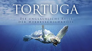 Tortuga - Die unglaubliche Reise der Meeresschildkröte