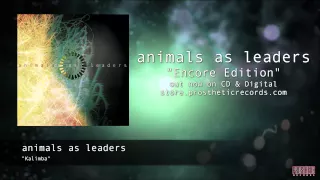 Animals As Leaders - "Kalimba" Official Track Stream