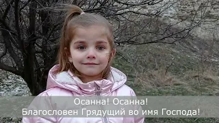 Красивая песня на ВЕРБНОЕ 🥰 Очень красивая природа (Когда-то в Палестине) Семья Прокопович