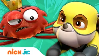 Superhero PAW Patrol Pups vs. Spider King! | Nick Jr.