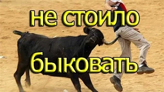 Best jokes Лучшие Приколы 2016 человек против быка