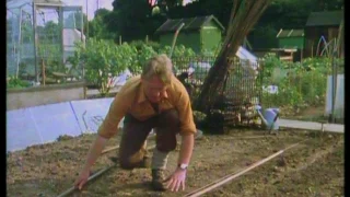 Mr Smith's Vegetable Garden. Part 2