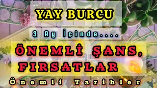 YAY BURCU 3 AY İÇİNDE SENİ NELER BEKLİYOR 👑🐬☀️