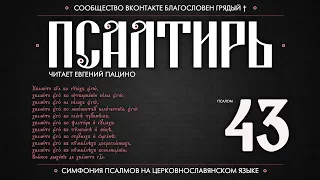 Псалом 43 на церковнославянском (чит. Евгений Пацино)