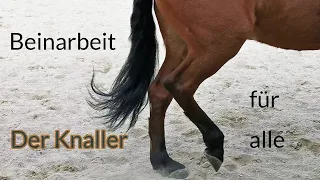 Beinarbeit - Der Knaller für alle