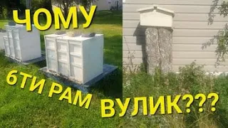 Переваги 6ти рам вулика... #бджолипчеловодствов6тирамочныхульях