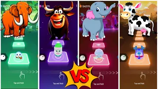 Funny Mammoth🆚Funny Ferdinand🆚Funny Elephant🆚Funny Cow Dance💫Lets see Who is best?🎶👍#coffindance