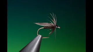 Fly Tying a # 16 Black Gnat wet fly with Barry Ord Clarke