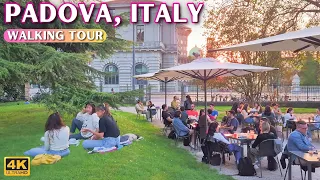 Padua, Italy Walking Tour 🇮🇹 City Walk with Real Ambient Sounds [With Captions]
