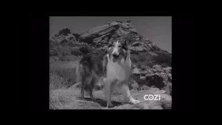 Lassie - Episode #306 - "Lassie’s Lonely Burden" - Season 9, Ep. 15 - 01/20/1963