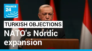 NATO's Nordic expansion: Turkish objections an 'opportunity for Erdogan' to air NATO 'grievances'