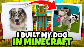 Building OUR DOGS in Minecraft! Aphmau Noob Vs Pro Build Battle