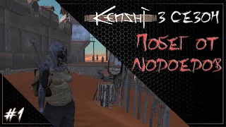 Бежим от Людоедов! #01 | Kenshi 1.0.50 Прохождение (3 сезон).