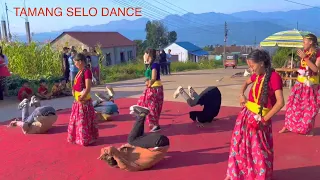 Tamang selo dance|| Deusi bhailo 2079||#Hetauda