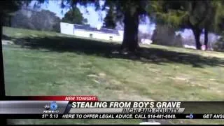 Woman Seen Stealing Toy from Richland Co. Baby's Grave