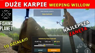 Fishing Planet Zanęta na Duże Karpie Weeping Willow Anglia. Big Carps Groundbait. Szybka kasa i exp