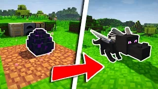 COMMENT FAIRE ÉCLORE L'OEUF DE DRAGON DANS MINECRAFT !