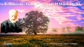 차이코프스키 바이올린 협주곡 D장조 작품 35 I  Tchaikovsky Violin Concerto D Major Op.35