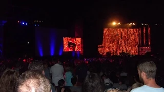 Neil Young @ Farm Aid 2014