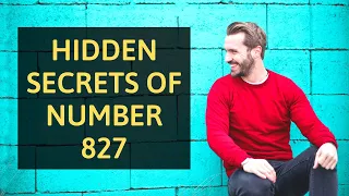7 Reasons Why You Keep Seeing 827 | Angel Number 827 Meaning Explained
