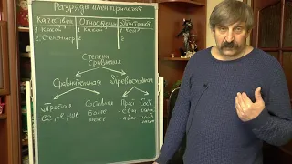 Имя прилагательное.  Разряды имен прилагательных.  Часть 1.  Занятие 14-2.