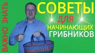 Поход за грибами 2017 / Советы начинающим грибникам / Полезные советы