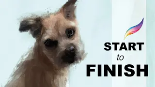 Paint Like A FINE ARTIST In Procreate. Border Terrier Procreate Dog Tutorial Using The Oil Brushes