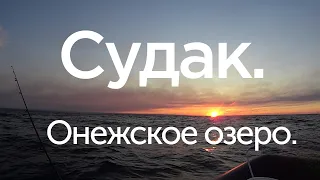 Судак  Онежское озеро