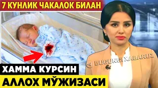 ХАММА КУРСИН 7 КУНЛИК ЧАКАЛОК БИЛАН АЛЛОХ МЎЖИЗАСИ СОДИР БУЛДИ ХАКИКИЙ МЎЖИЗА.....