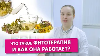 ЧТО ТАКОЕ ФИТОТЕРАПИЯ? Лечение травами