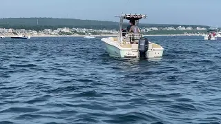 Humpback Whale Breached and Landed on Our Boat || ViralHog