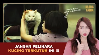 JANGAN PELIHARA KUCING INI !!! | Alur Cerita Film oleh Klara Tania