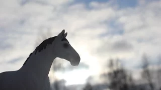 Unboxing /распаковка breyer horse/лошади