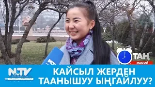 Кайсыл жерден таанышуу ыңгайлуу? Таң маанай