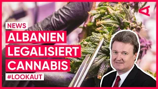 Darum legalisiert Albanien jetzt Cannabis