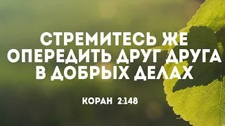 Стремитесь же опередить друг друга в добрых делах. Коран 2:148. UMMA AUTO