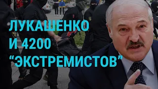 В Беларуси освободили задержанных журналистов | ГЛАВНОЕ | 26.07.21