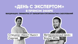 «День с экспертом». Ветеринарный врач о вакцинации, обработке от паразитов и профилактике