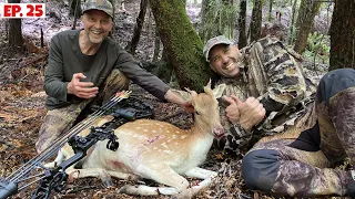 Bow Hunting & Camping Mashup - 2 Deer & 3 Pigs