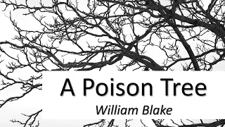 OCR Conflict Poetry | A Poison Tree - William Blake | Annotation & Analysis