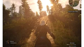 The Witcher 3 Wild Hunt прохождение игры)1