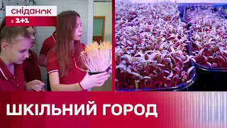 Розумний ГОРОД В ШКОЛІ! Як учні Вінницького ліцею вирощують мікрозелень на продаж