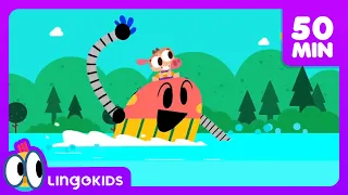 ACTION SONGS FOR KIDS 🙌🎶| Nursery Rhymes | Lingokids